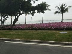 -珠海拱北口岸