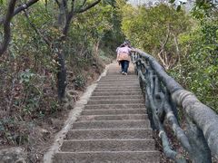 -梧桐山风景名胜区