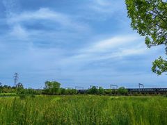 -永定河休闲森林公园