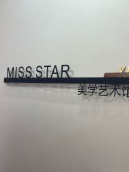 -MISS STAR·半永久纹眉·发际线·美瞳线