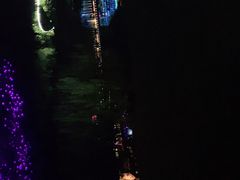 -大塘金香草谷