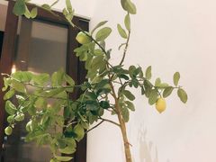 -肥朵食堂(带梦胡同店)