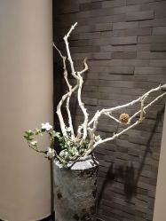 -盘子女人坊古装写真摄影(天津总店)