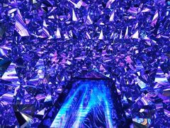 -上海梵高星空艺术馆(南京路旗舰店)