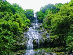 -瓦屋山景区