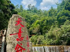 -华蓥山天意谷景区