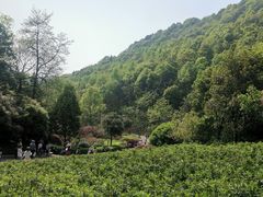 -桃花岭景区