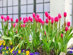 -Wagas沃歌斯(大学路店)