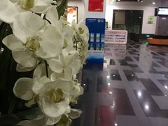 -普陀长途客运中心