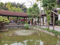 -河内西湖莲花自助餐厅