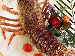 -大吉鲜鱼料理自慢(维也纳大厦店)