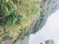 -龙湾潭国家森林公园