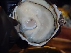 -斯普汇生蚝牛排馆(中骏世界城店)