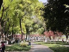 -汉水公园