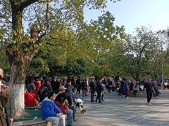 -湖南广播电视台娱乐频道