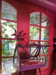 -青木造型HAIR·あおき髪を刈る潮人店