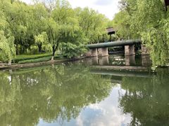 -阮氏酒家(柯桥店)