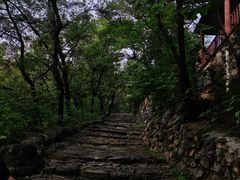 -阳台山自然风景区