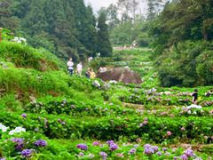 -鼓岭旅游度假区