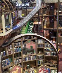 -卡通尼·Safari非洲探索乐园·生日会(金桥国际商业广场店)