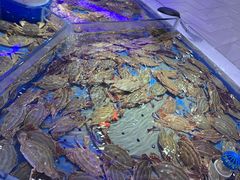 -澜悦港海鲜体验主题餐厅