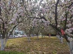 -元大都城垣遗址公园