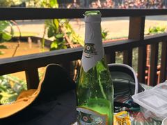 -西双版纳原始森林公园