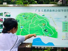 -天鹿湖森林公园