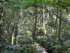 -杭州半山国家森林公园