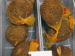 -东方鼎信农副产品交易中心