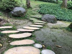 -南山植物园