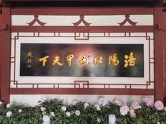 -神州牡丹园