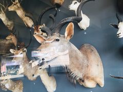 -陕西自然博物馆