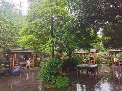 -青城甲(青城山店)