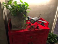 大堂-HIGH FIVE哈福手工汉堡(桂林路店)