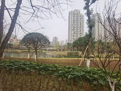 -沐仙湖湿地公园