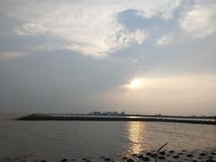 -碧海金沙
