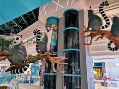 -大族广场Mall&More