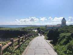 -涉地可支