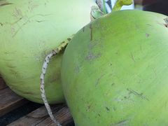 -三亚海棠湾万丽度假酒店