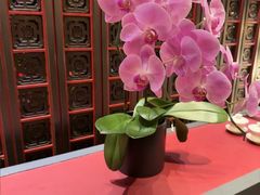 -北京四季酒店·采逸轩
