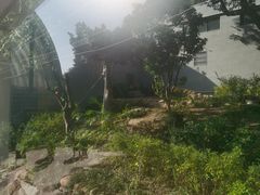 -石排湾郊野公园