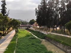 -深圳大学总医院