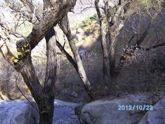 -鲁山国家森林公园