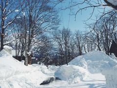 -二世古滑雪场