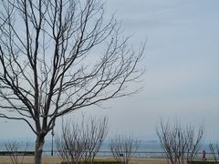 -大连海昌东方水城