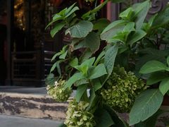 -湘子庙