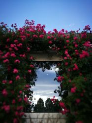 -圣露庄园·草坪婚礼·宴会厅·会议