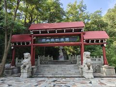 -原山国家森林公园