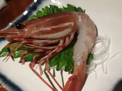 牡丹虾-千代武日本料理(爱建店)